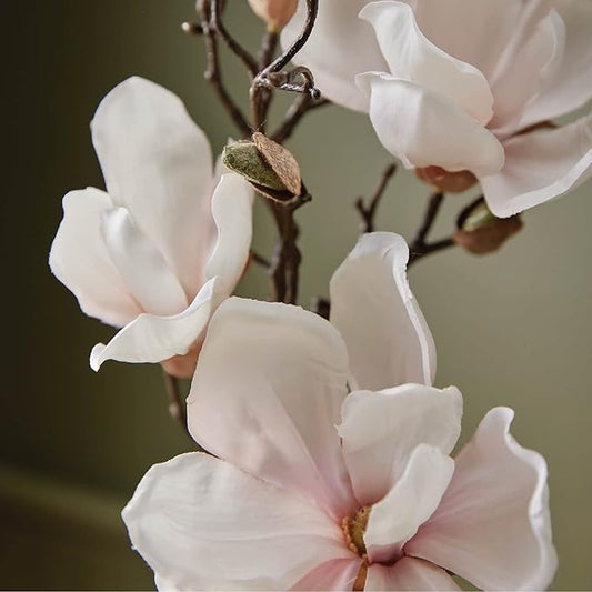 Thymes Home Fragrance Mist - Magnolia Willow - 3.0 Oz