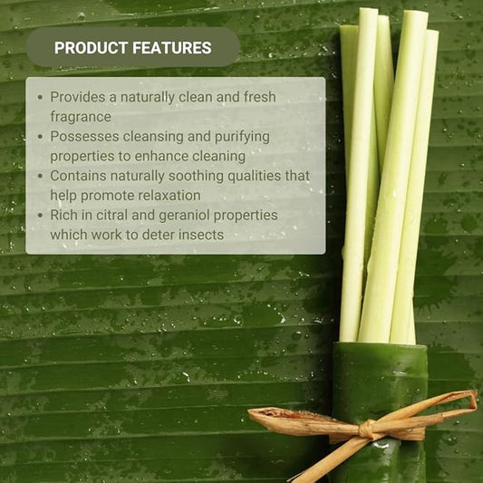 Lemongrass Essential Oil - Natural Aceite de Hierba Limón from Norex Flavours India - Lemongrass Essential Oils for Hair, Aromatherapy and Massage (22lbs)
