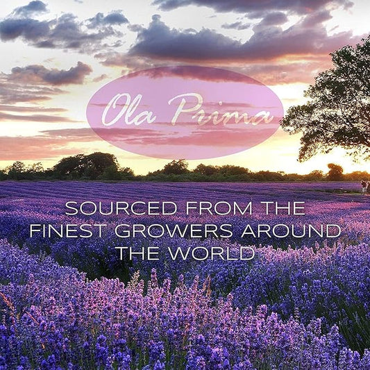 Ola Prima 4 oz Lavender Essential Oil for Diffuser, Soap, Candle Making, and Aromatherapy
