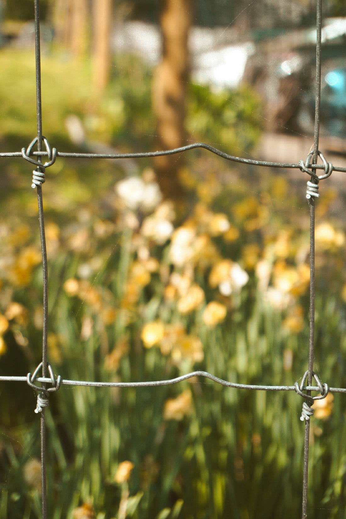 Floral Paddle Wire Guide: Choosing the Right Gauge for Wreaths, Garlands, and Flower Arrangements