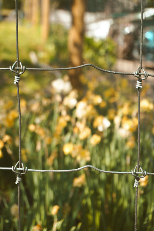 Floral Paddle Wire Guide: Choosing the Right Gauge for Wreaths, Garlands, and Flower Arrangements