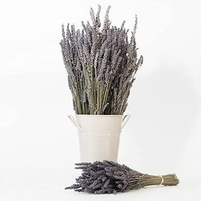 Victoria's Lavender Pillow and Linen Spray — Lavender Essential Oil - Lavender Spray, Mist Handmade in Oregon, Made in USA, Pack of 2, 16 oz Total 8 fl Oz
