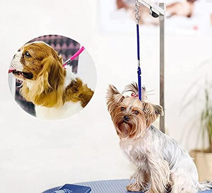 Pet Dog Grooming Loop, Nylon Restraint Noose Adjustable Fixed Dog Cat Safety Tether Straps Dog Grooming Supplies for Pet Grooming Table Bathtub 22 Inches - 4 Pack Orange
