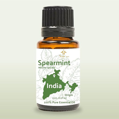 Spearmint Essential Oil - Direct from Essential Oils India - Steam Distilled - Aceite Esencial de Menta Verde for Aromatherapy, Massage, Diffuser, DIY Candle and Soap Making - 2lbs
