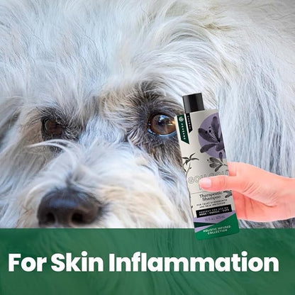 Holistic Natural Anti-Fungal Shampoo for Dogs, Cats & Horses: Veterinarian Recommended: Relieve Itching & Flaking Skin Caused by Fungal Infections & Skin Conditions - Made in USA - 16 oz