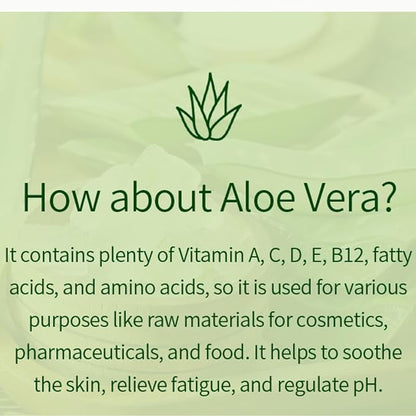 VENAMINE Korean Aloe Vera Soothing & Moisture 100% Gel Mist, 150 Gram