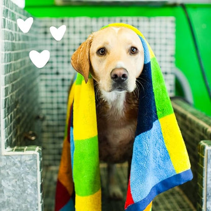 earthbath Hypoallergenic Dog Shampoo- Gentle Pet Shampoo for Sensitive Skin, Dog Wash in Bulk, Cruelty Free Shampoo for Pet Grooming, Dilutes 33:1, Made in the USA- Fragrance Free, 2.5 Gallon (1 Pack)