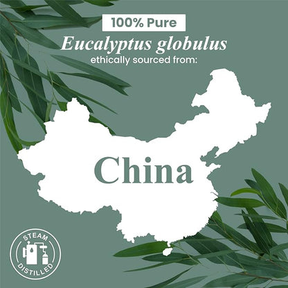 Handcraft Blends Eucalyptus Essential Oil – 0.33 Fl Oz – 100% Pure and Natural – Premium Grade Essential Oil for Diffuser and Aromatherapy, Skin, Massage, Candle and Soap Making Fragrance