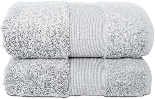 Hencely Luxury Hand Towel - Set of 2 (16x28 Inches) - Soft Turkish Cotton, Absorbent, Quick-Drying Face, Body, Kitchen, and Bathroom Towel (Hand Towels 2 Pack, Silver)