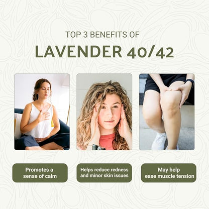 Lavender 40/42 Essential Oil Direct from France - Essential Oil for Candle Making and Soaps - Pure Lavender 40/42 Oil for Aromatherapy, Skincare, Haircare, Perfumes (15 mL)