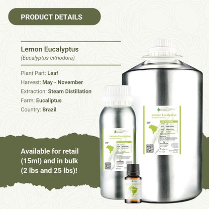 Lemon Eucalyptus Oil by Eucaliptus from Brazil - Pure Lemon Eucalyptus - 100% Pure Steam Distilled Natural Aceite de Eucalipto Limón - Aromatherapy - Premium Therapeutic Grade (2lbs)