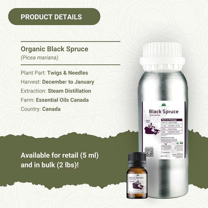 Organic Black Spruce Essential Oil from Canada - Black Spruce Essential Oils for Candle Scent (2lbs)
