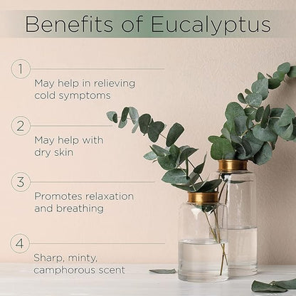 Radha Beauty Eucalyptus Essential Oil 4 oz - 100% Pure & Therapeutic Grade, Steam Distilled for Aromatherapy, Relaxation, Shower, Sauna, Bath, Steam Room and Other DIY Projects.