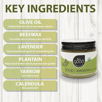All Good Goop Organic Skin Care Recovery Balm - All Purpose Ointment w/Calendula, Lavender, Beeswax - Chafing Cream, Dry Skin Salve, Cracking Lip Moisturizer - Soothes, Hydrates & Calms - 2oz, 2-pack