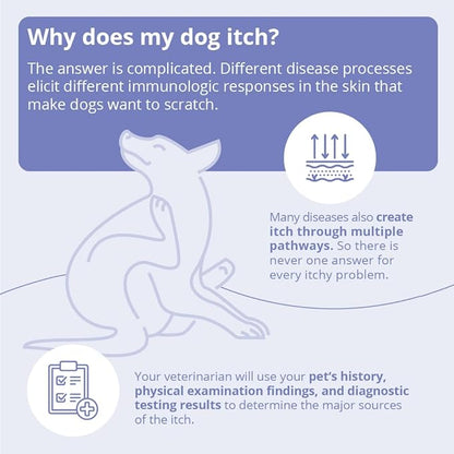 MiconaHex+Triz Shampoo for Dogs, Cats and Horses, 16 oz