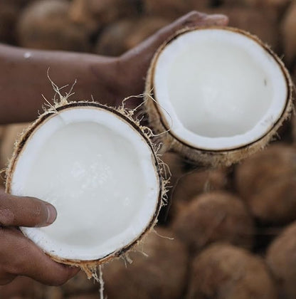 Fractionated Coconut Oil - Sourced Directly from our Farm Partner in the Philippines - Carrier Oil for Diluting Essential Oils, Body, Hair, and Skin Moisturizer - (16oz)