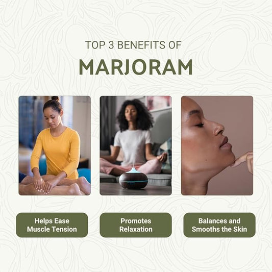 Marjoram Essential Oil - Direct from Al Sheikh for Export Egypt - Steam Distilled - Aceite de Mejorana for Aromatherapy, Massage, Diffuser, DIY Candle and Soap Making - 22lbs