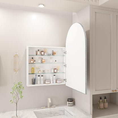 FKWin Silver Bathroom Medicine Cabinet for Left or Right Opening, Surface Mount Medicine Cabinet not Recessed, Modern Vanity Bathroom Mirror with Storage, Silver, 24x36 inch