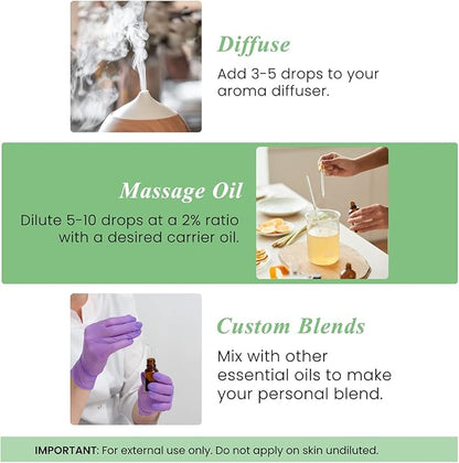 Handcraft Blends Basil Essential Oil – 0.33 Fl Oz – Pack of 2 – 100% Pure and Natural – Premium Grade Essential Oil for Diffuser and Aromatherapy, Skin, Massage, Candle and Soap Making Fragrance