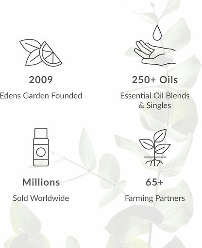 Edens Garden Cilantro Essential Oil- 100% Pure Premium Grade, Undiluted, Natural, Therapeutic, Aromatherapy, The Best for Diffuser, Candle, Laundry, Kid Safe 30 ml (1 fl oz)