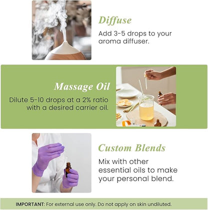 Handcraft Blends Peppermint Essential Oil – Huge 4 Fl Oz – 100% Pure and Natural – Premium Grade Essential Oil for Diffuser and Aromatherapy, Skin, Massage, Candle and Soap Making Fragrance
