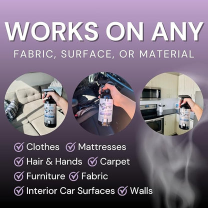 The Stink Solution Smoke Odor Eliminator Spray - Completely Remove Smoke Smell From House, Car, Clothes, Hands, Hair, & More - Best Odor Eliminator For Smoke - Bamboo Teak Fragrance - 2 16 oz Bottles
