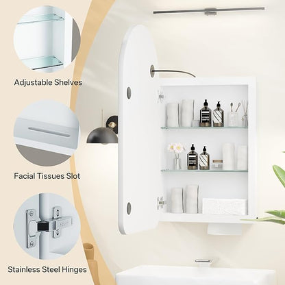 LED Arched Bathroom Medicine Cabinet with Mirror, No Assembly Needed, Recessed or Surface Mount Wall Storage Cabinet, Mirror Cabinet with Tissue Slot (Bevel-LED, 31.5" L x 19.7")