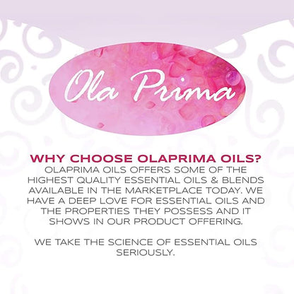 Ola Prima Ginger Essential Oil Therapeutic Grade for Aromatherapy, Diffuser, Lymphatic Massage, Hair, Skin – 4 fl oz Dropper