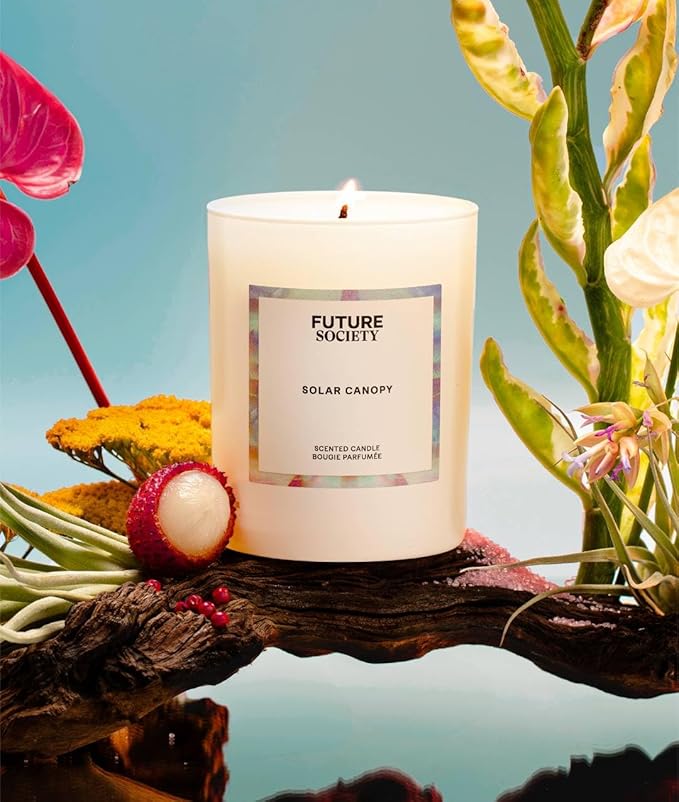 Future Society Solar Canopy Luxury Home & Body Gift Set - Includes Body Wash, Body Lotion, & 2oz Scented Candle - Fruity Floral with Notes of Black Pepper, Sandalwood & Amber - Beauty Gifts for Women