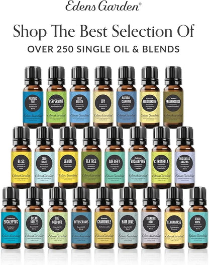 Edens Garden Cilantro Essential Oil- 100% Pure Premium Grade, Undiluted, Natural, Therapeutic, Aromatherapy, The Best for Diffuser, Candle, Laundry, Kid Safe 30 ml (1 fl oz)