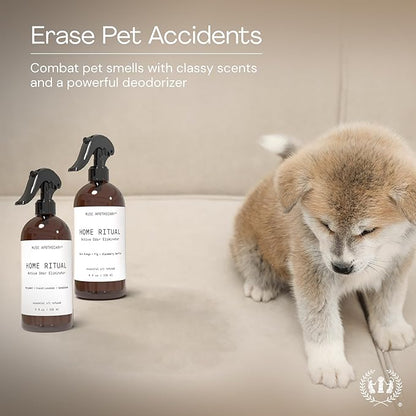 Muse Apothecary Home Ritual Active Odor Eliminator Spray - Furniture Deodorizer Spray & Bathroom Odor Eliminator for Home - Essential Oil Air Freshener - 8oz, Cara Orange + Fig + Blackberry Vanilla, 2