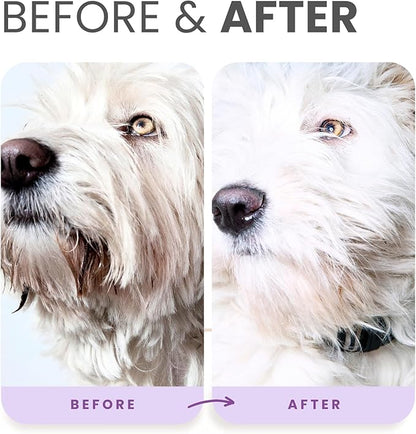 Lillian Ruff PRO Formula Ultra Brightening Dog Shampoo - Professional Whitening & Long-Lasting Odor Eliminator, Remove Stains & Discoloration, Dry Skin & Itch Relief - Aloe & Provitamin B5 Gallon+Pump