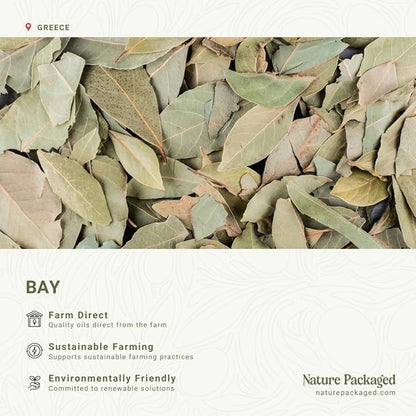 Bay Essential Oil - Direct from Greece - Steam Distilled - Laurel for Aromatherapy, Massage, Diffuser, DIY Candle and Soap Making - 2lbs