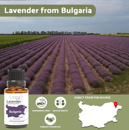 Lavender Oil - Bulgarian Essential Oils - Lavender Diffuser - Pure Therapeutic Grade (2lbs)