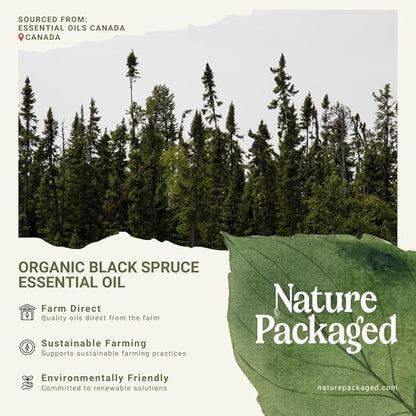 Organic Black Spruce Essential Oil from Canada - Black Spruce Essential Oils for Candle Scent (2lbs)
