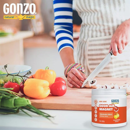 Gonzo Odor Absorbing Gel - 2 Pack - Odor Eliminator for Car Closet Bathroom and Pet Area, Captures and Freshens Odors - 14 Ounce