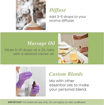 Handcraft Blends Peppermint Essential Oil – 1 Fl Oz – 100% Pure and Natural – Premium Grade Essential Oil for Diffuser and Aromatherapy, Skin, Massage, Candle and Soap Making Fragrance