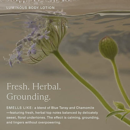 Oak Essentials Luminous Body Lotion | Hydrating Blue Tansy Body Cream with Rose Oil, Turmeric, Shea Butter and Coconut Oil, 1.33 Fl Oz (Travel Size)