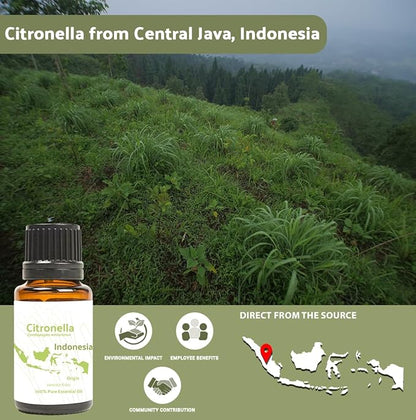 Citronella Essential Oil - Direct from Central Java, Indonesia - Pure Essential Oil for Diffusers and Aromatherapy | 100% Pure Therapeutic Grade (8oz)