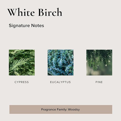 BROKEN TOP Organic Linen & Room Spray (White Birch)