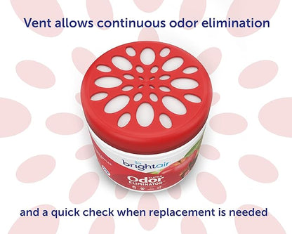 Bright Air 14 oz. Super Odor Eliminator, for Medium-Size Spaces, Fresh Apples & Spice Scent, Case of 6, Lasts Up to 90 Days Each