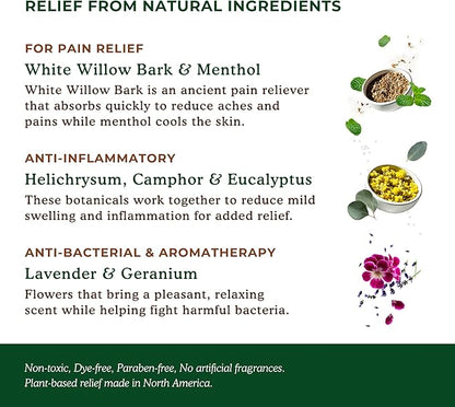 Nature's Willow Willow Balm Natural Pain Relief Cream for Muscles & Joints | Fast-Acting with Willow Bark & Menthol | Free from Artificial Fragrances & Dyes | 1-Pack | 32 fl oz