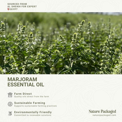 Marjoram Essential Oil - Direct from Al Sheikh for Export Egypt - Steam Distilled - Aceite de Mejorana for Aromatherapy, Massage, Diffuser, DIY Candle and Soap Making - 2lbs