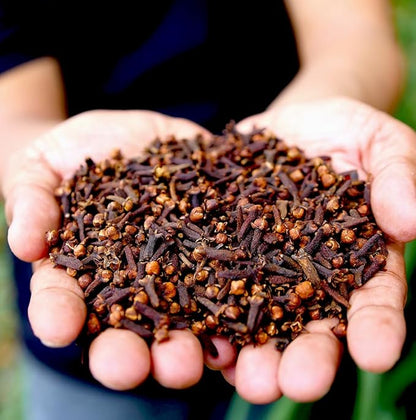 Clove Essential Oil - 100% Pure Steam Distilled Natural Aceite de Clavo from Indonesia for Aromatherapy & Wellness - Premium Grade (22lbs)