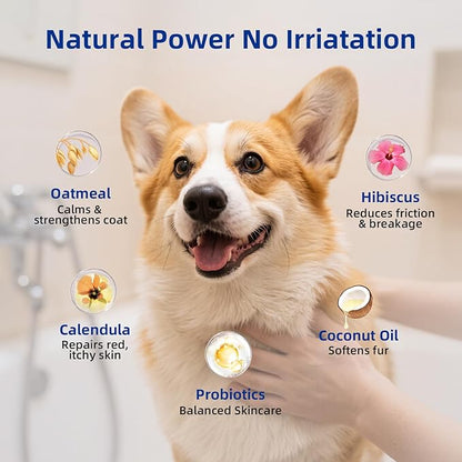 Unipaws Probiotics Dog Shampoo & Conditioner Set for Short-Haired Coats – Itch Relief, Deodorizing & Anti-Shedding for Skin Comfort & Balance with Calendula – EWG Green, Made in Korea, 2×16.9 Fl Oz