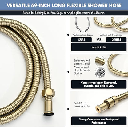 Adjustable Shower Slide Bar with 5-Function Handheld Shower Head, Stainless Steel Grab Slide Bar Combo with Extra Hose (Brushed Gold)