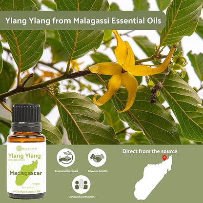 Ylang Ylang Essential Oil - Direct from Malagassi Essential Oils Madagascar - Steam Distilled - Aceite de Ylang Ylang for Aromatherapy, Diffuser, DIY Candle and Soap Making - 22lbs