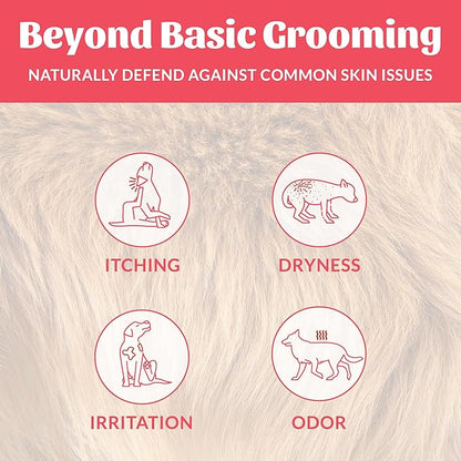 Skout's Honor Probiotic Dog Shampoo & Conditioner with Avocado Oil & Omega-3s, 97% Natural, Paraben & Sulfate-Free, Cruelty-Free, 16oz, Sunkissed Coconut, 2-Pack