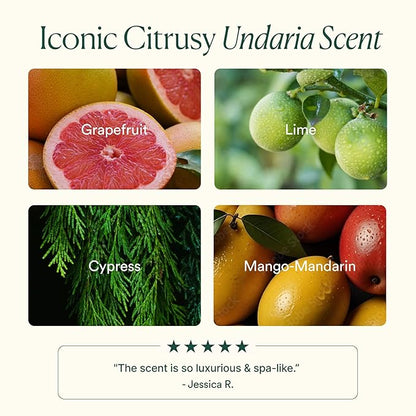 OSEA Undaria Algae™ Body Wash 8 fl oz - Hydrating & Moisturizing Body Wash - Citrus Scented Cleanser