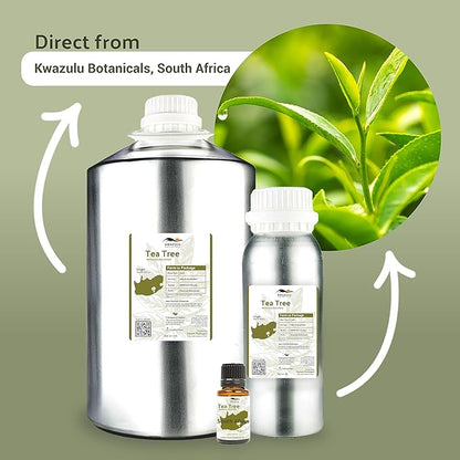 Tea Tree Essential Oil - Direct from Kwazulu Botanicals South Africa - Steam Distilled - Aceite Esencial de Árbol de Té for Aromatherapy, Diffuser, DIY Candle and Soap Making - 22lbs